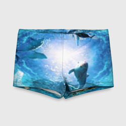 Детские купальные плавки 3D Дельфины