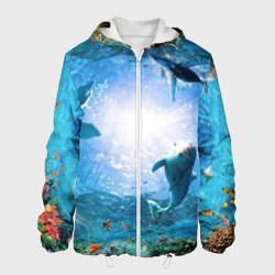 Мужская куртка 3D Дельфины
