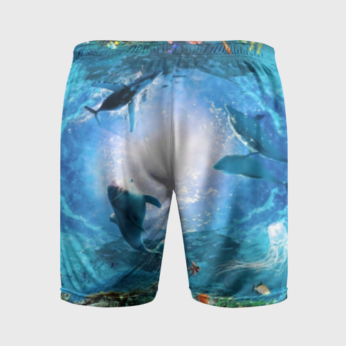 Мужские шорты спортивные Дельфины, цвет 3D печать - фото 2