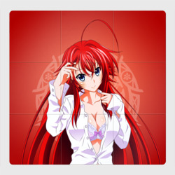 Магнитный плакат 3Х3 High School DxD, Риас