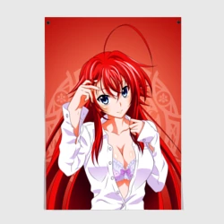 Постер High School DxD, Риас
