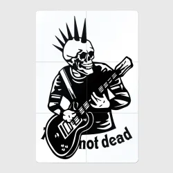 Магнитный плакат 2Х3 Punk's not dead - motto