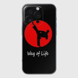 Чехол для iPhone 16 Pro Max силиконовый с защитой камеры Каратэ образ жизни