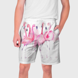 Мужские шорты 3D Фламинго розовый на белом