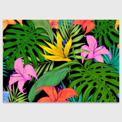 Поздравительная открытка Тропики лес