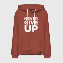 Мужская толстовка хлопок Never Give Up