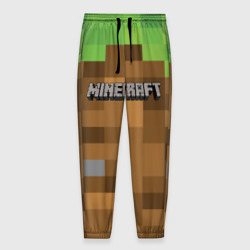Мужские брюки 3D Minecraft