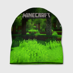 Шапка 3D Minecraft