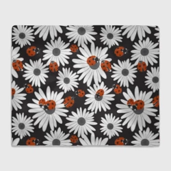 Плед 3D Божьи коровки на ромашках