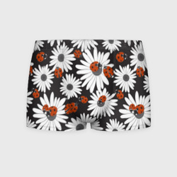 Мужские трусы 3D Божьи коровки на ромашках