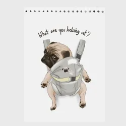 Скетчбук Маленький мопс в рюкзаке