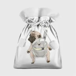 Подарочный 3D мешок Маленький мопс в рюкзаке