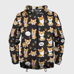 Мужская ветровка 3D Милые пёсики - корги