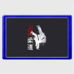 Магнит 45*70 Judo