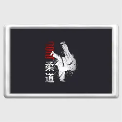 Магнит 45*70 Judo