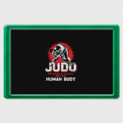 Магнит 45*70 Judo