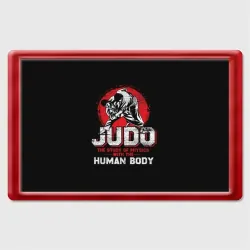Магнит 45*70 Judo
