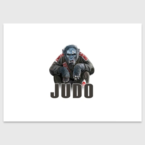 Поздравительная открытка Judo