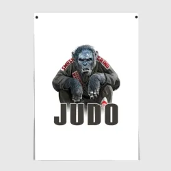 Постер Judo
