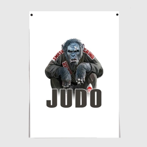 Постер Judo