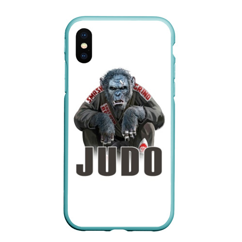 Чехол для iPhone XS Max матовый Judo, цвет мятный