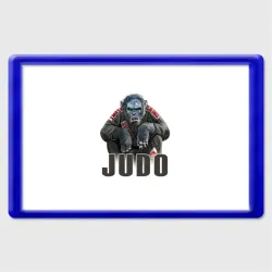 Магнит 45*70 Judo