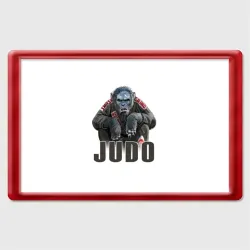 Магнит 45*70 Judo