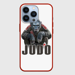 Чехол для iPhone 13 Pro Judo