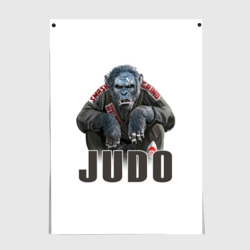 Постер Judo