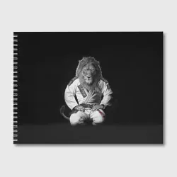 Альбом для рисования Judo lion