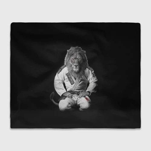 Плед 3D Judo lion