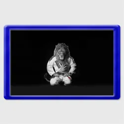 Магнит 45*70 Judo lion