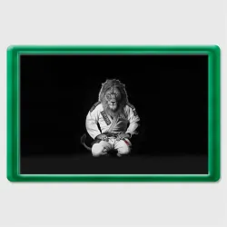 Магнит 45*70 Judo lion
