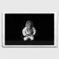 Магнит 45*70 Judo lion