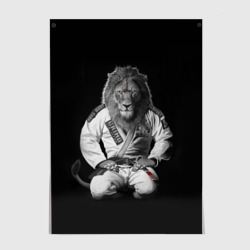 Постер Judo lion