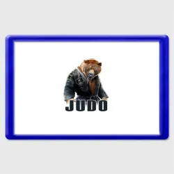 Магнит 45*70 Judo