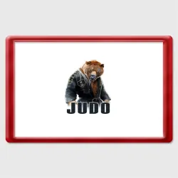 Магнит 45*70 Judo
