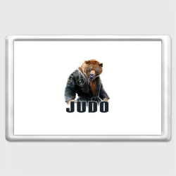 Магнит 45*70 Judo