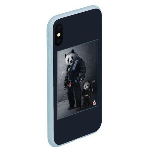 Чехол для iPhone XS Max матовый Panda, цвет голубой - фото 3