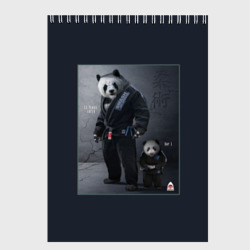 Скетчбук Panda