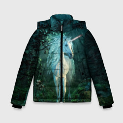 Зимняя куртка для мальчиков 3D Единорог