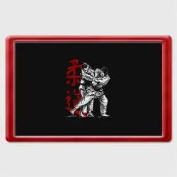 Магнит 45*70 Judo