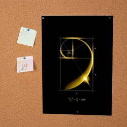 Постер Формула золотого сечения - фото 2