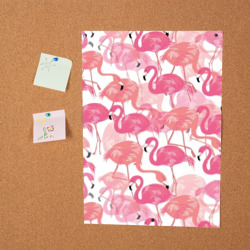 Постер Фламинго - фото 2