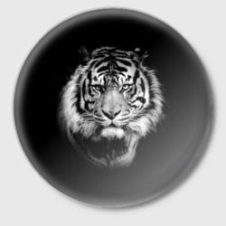 Значок Тигр