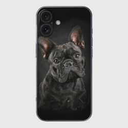 Чехол для iPhone 16 силиконовый с защитой камеры Французский бульдог