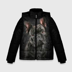 Зимняя куртка для мальчиков 3D Французский бульдог