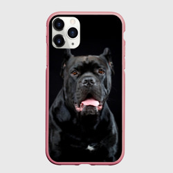 Чехол для iPhone 11 Pro Max матовый Черный кан - корсо
