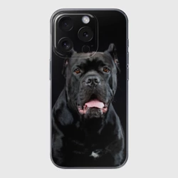 Чехол для iPhone 15 Pro силиконовый с защитой камеры Черный кан - корсо