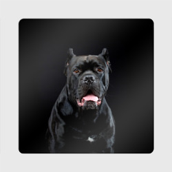 Магнит виниловый Квадрат Черный кан - корсо